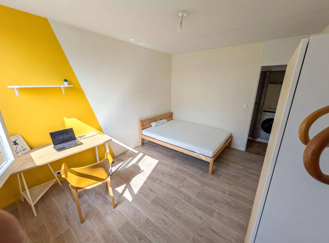 Appartement, meublé, 1 pièce, 20m² à Talence (33400) — photo principale
