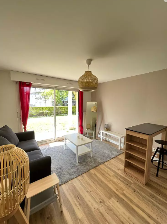 Appartement, meublé, 1 pièce, 25m² à Nantes (44000) — photo principale