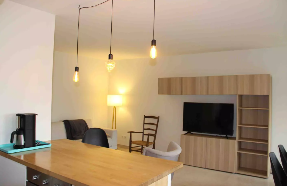 Appartement, meublé, 3 pièces, 71m² à Sainte-Foy-lès-Lyon (69110) — photo 3