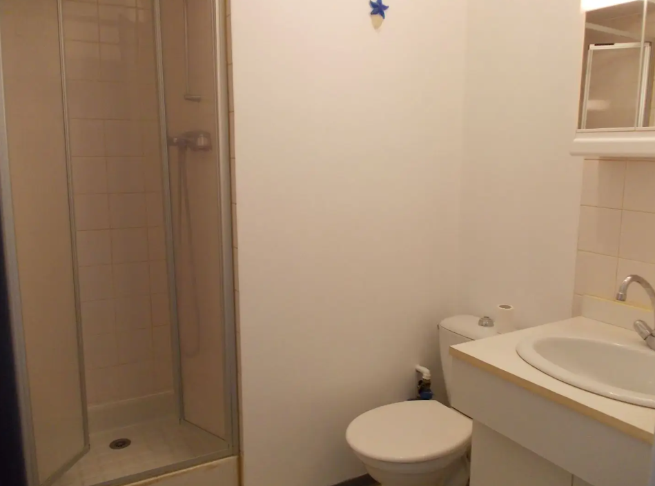 Appartement, meublé, 1 pièce, 17m² à Grenoble (38100) — photo 5