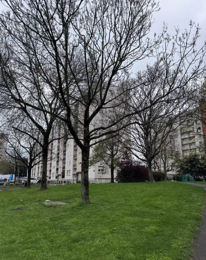 Appartement, meublé, 1 pièce, 15m² à Créteil (94000) — photo principale