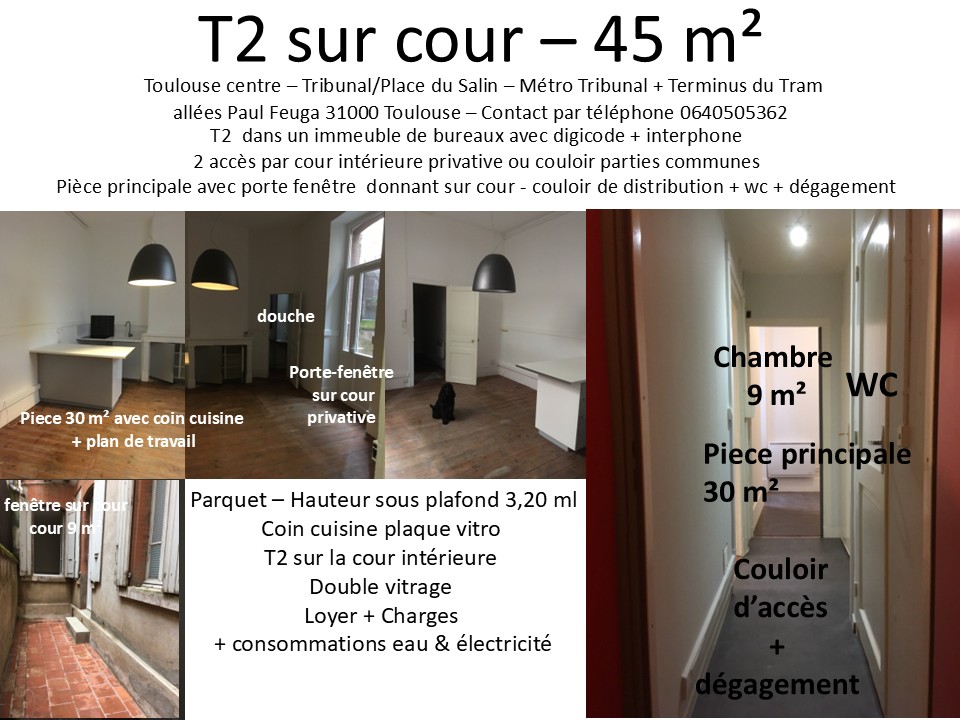 Appartement, non meublé, 2 pièces, 45m² à Toulouse (31000) — photo principale