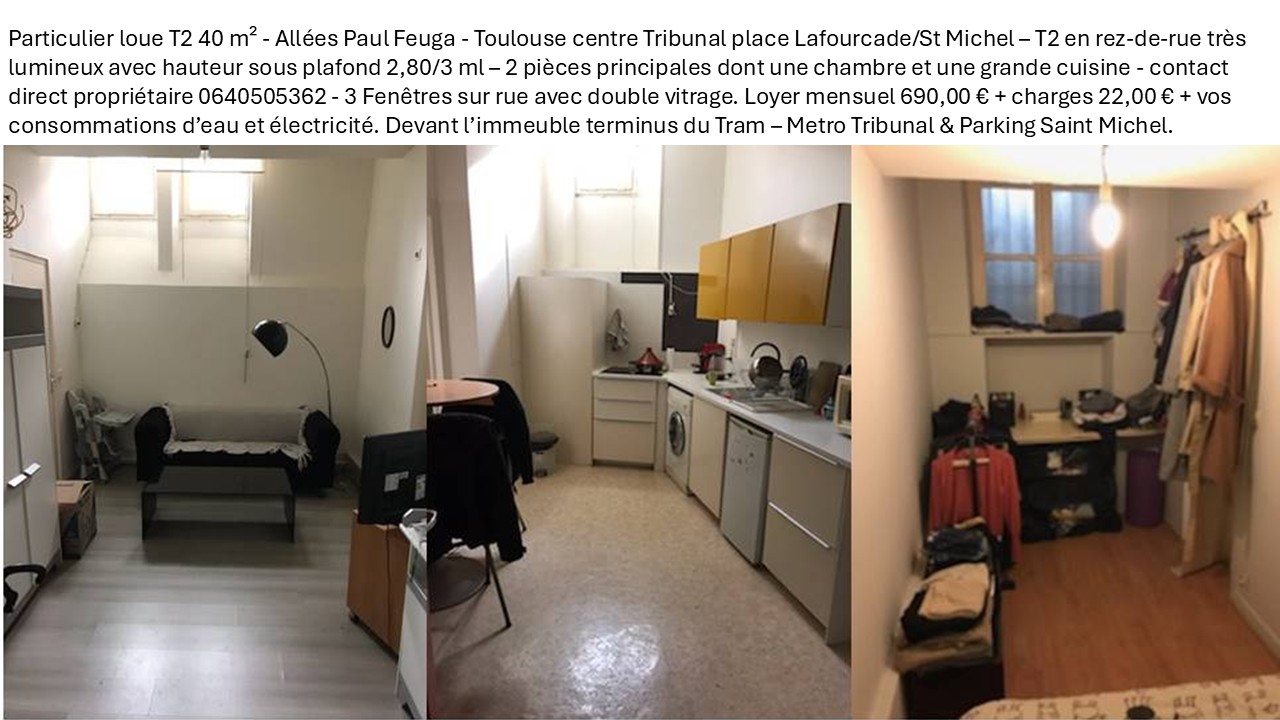Appartement, non meublé, 2 pièces, 45m² à Toulouse (31000) — photo principale