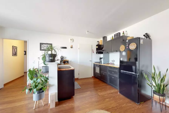 Appartement, meublé, 2 pièces, 29m² à Strasbourg (67000) — photo principale