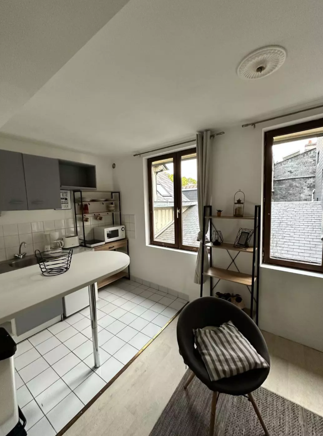 Appartement, meublé, 1 pièce, 21m² à Rouen (76000) — photo 3
