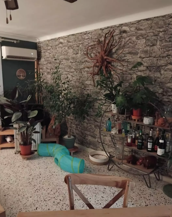 Appartement, meublé, 3 pièces, 80m² à Grasse (06520) — photo principale