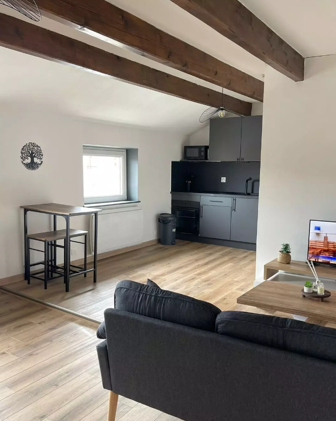 Appartement, meublé, 2 pièces, 45m² à Saint-Max (54130) — photo 2
