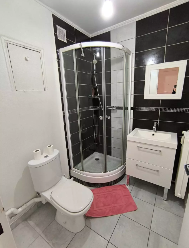 Appartement, meublé, 1 pièce, 29m² à Nancy (54000) — photo 3