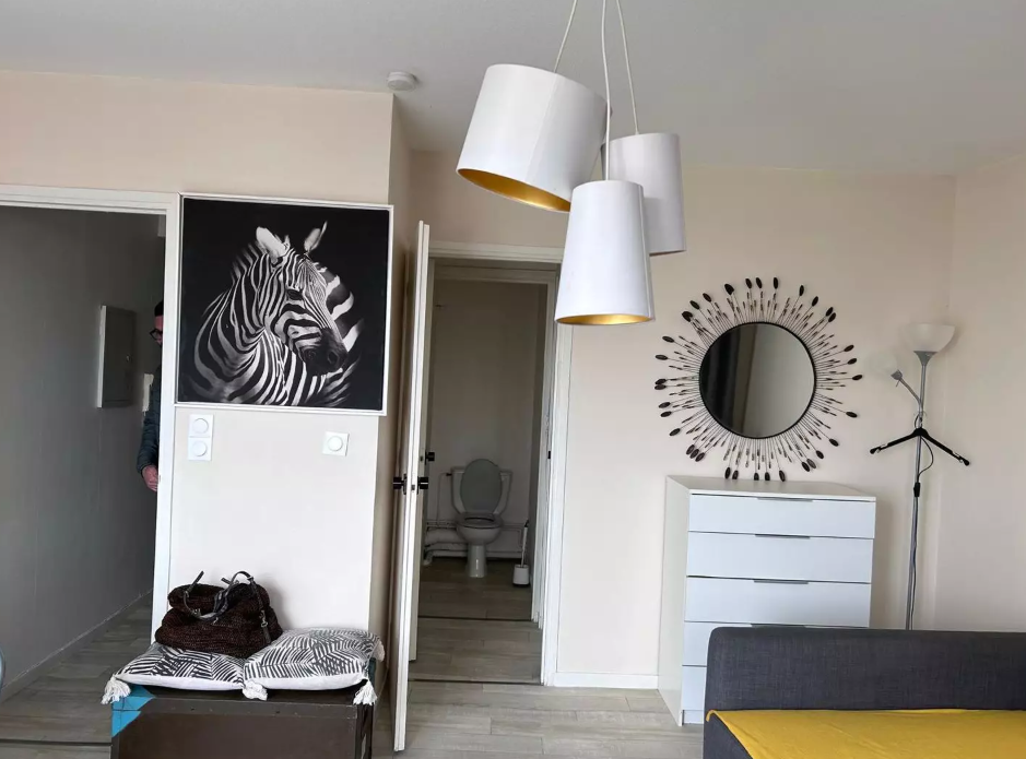 Appartement, meublé, 1 pièce, 29m² à Toulouse (31300) — photo 4