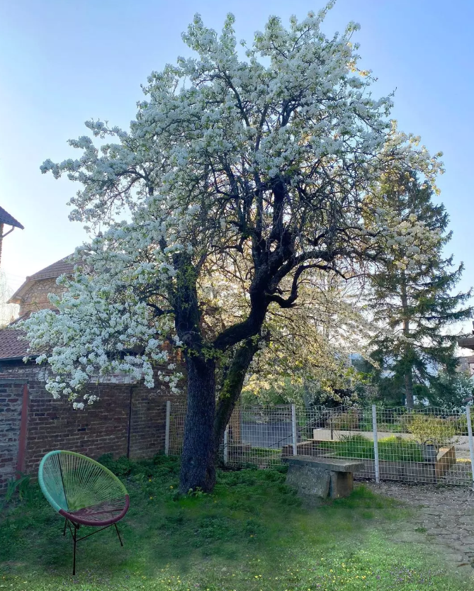 Chambre, meublé, 10m² à Argenteuil (95100) — photo principale