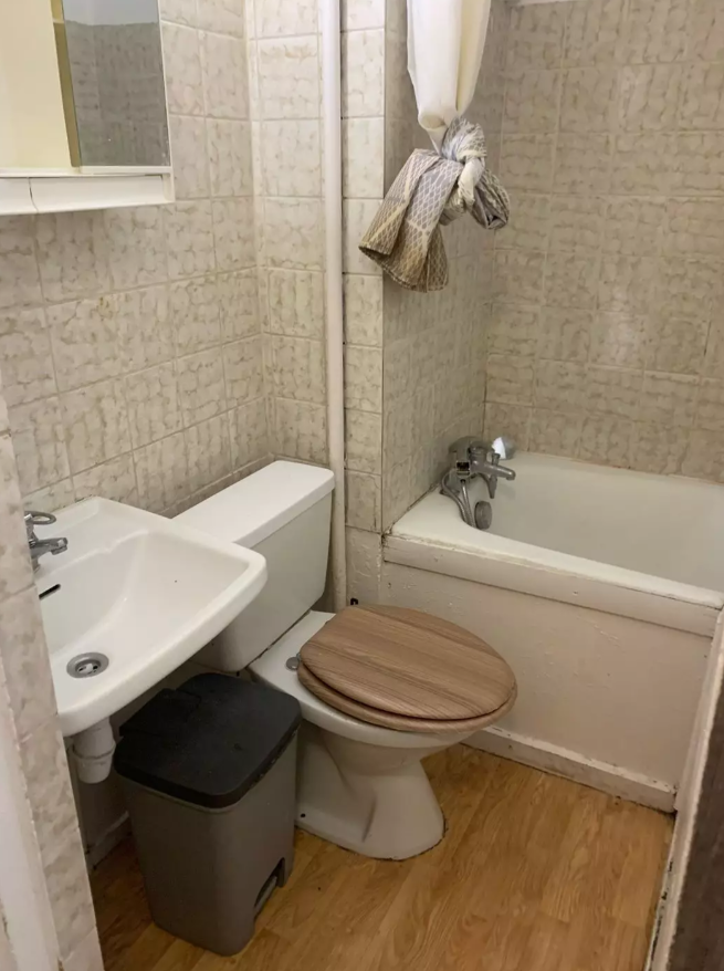 Appartement, meublé, 1 pièce, 20m² à Strasbourg (67000) — photo 3