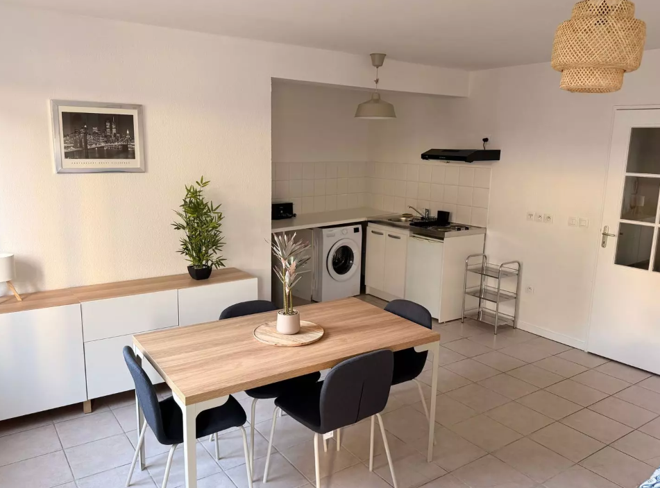 Appartement, meublé, 1 pièce, 40m² à Pau (64000) — photo principale