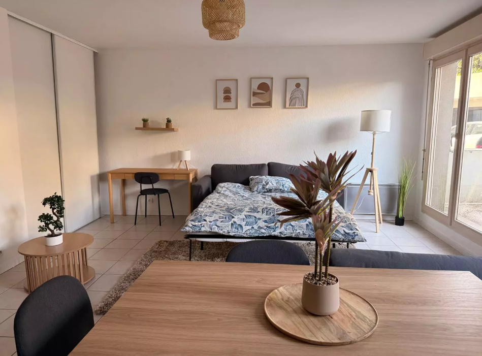 Appartement, meublé, 1 pièce, 40m² à Pau (64000) — photo 3