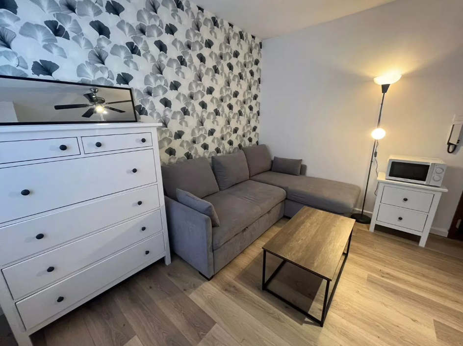 Appartement, meublé, 1 pièce, 20m² à Haguenau (67500) — photo principale