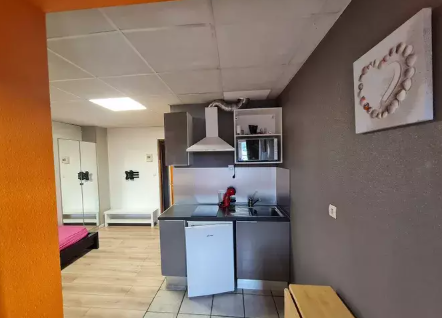 Appartement, meublé, 1 pièce, 18m² à Saint-Symphorien-d'Ozon (69360) — photo 3