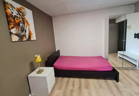 Appartement, meublé, 1 pièce, 18m² à Saint-Symphorien-d'Ozon (69360) — photo principale