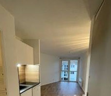 Appartement, meublé, 1 pièce, 21m² à Grabels (34790) — photo principale