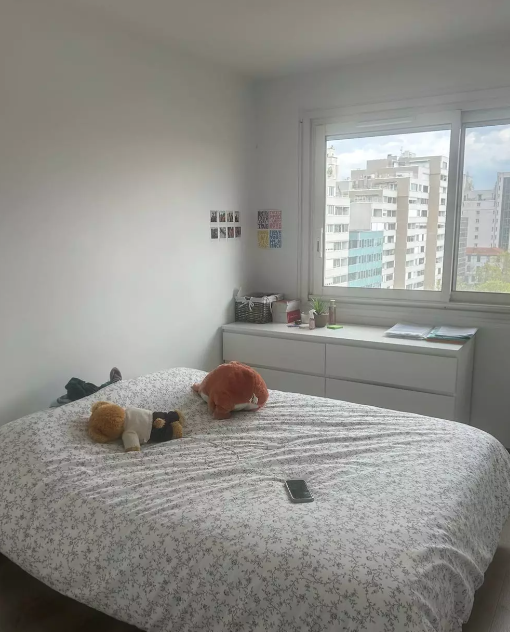 meublé, 3 pièces, 60m² à Villeurbanne (69100) — photo principale