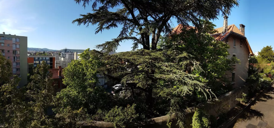 Appartement, meublé, 1 pièce, 103m² à Clermont-Ferrand (63000) — photo principale