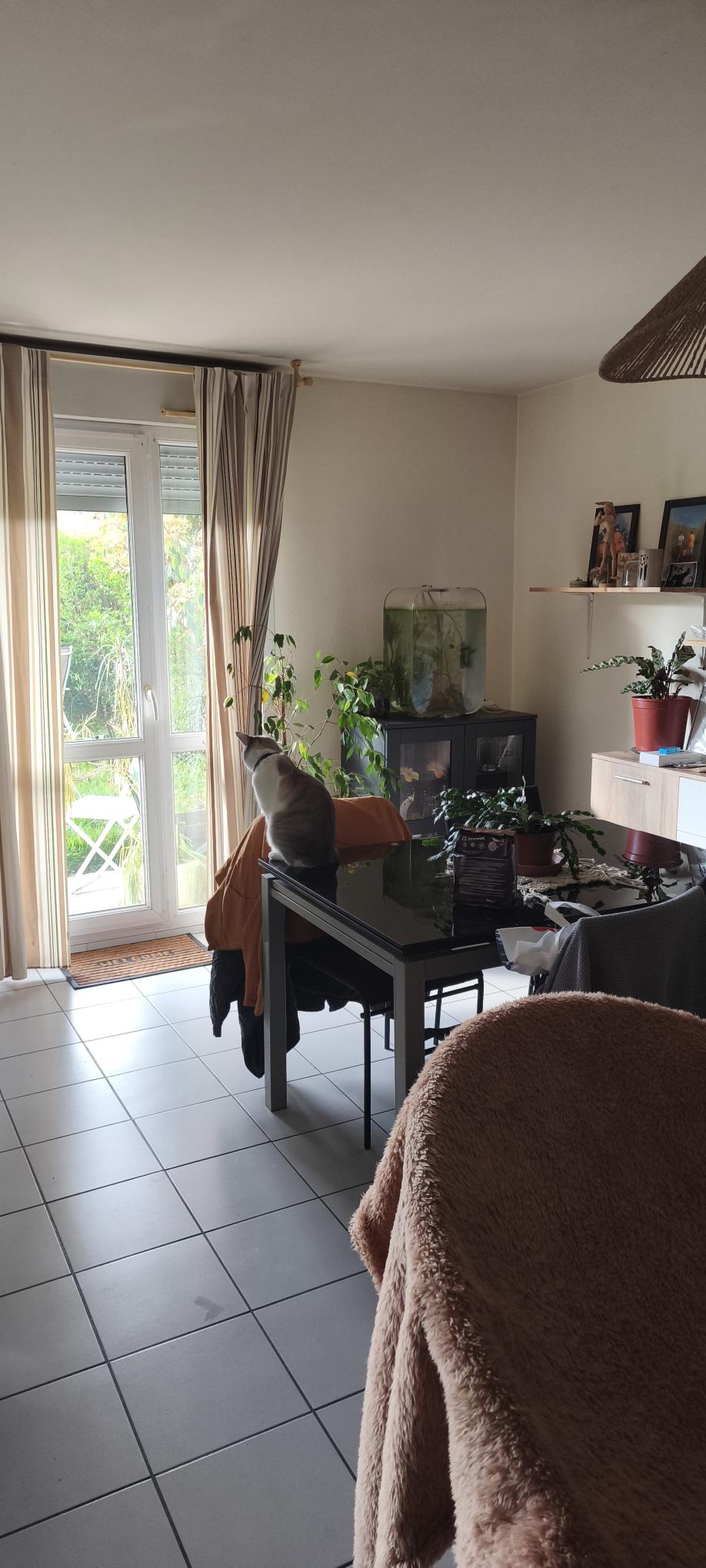 Appartement, non meublé, 3 pièces, 48m² à Fontaine (38600) — photo 4