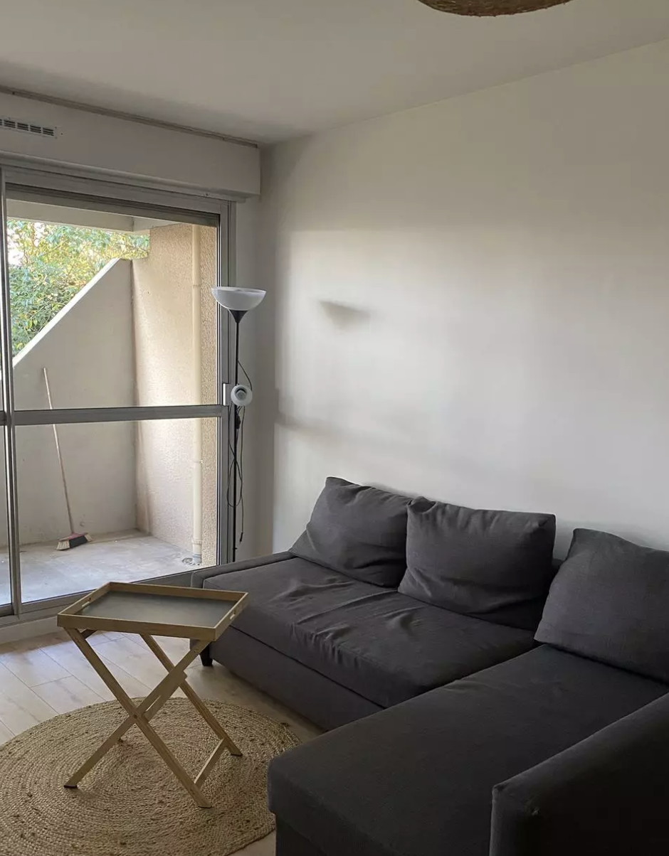 Appartement, meublé, 2 pièces, 50m² à Toulouse (31000) — photo principale