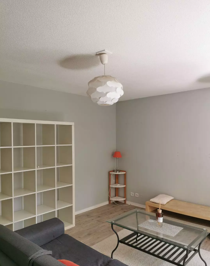 Appartement, meublé, 2 pièces, 48m² à Toulouse (31200) — photo 5