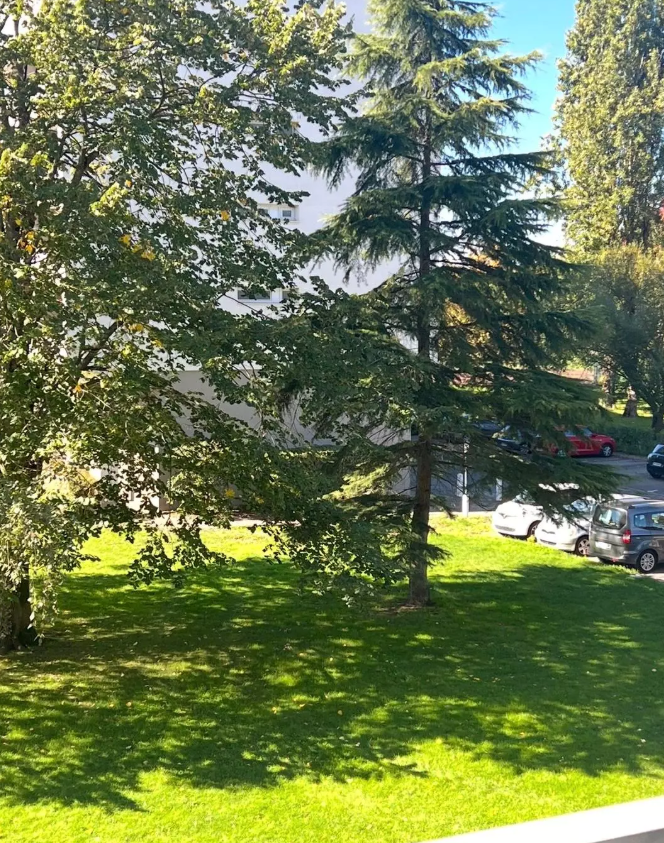 Appartement, meublé, 12m² à Le Bouscat (33110) — photo 4