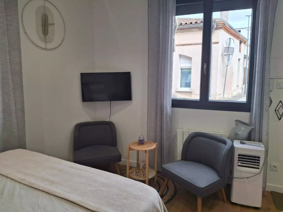 Appartement, meublé, 1 pièce, 18m² à Toulouse (31200) — photo principale