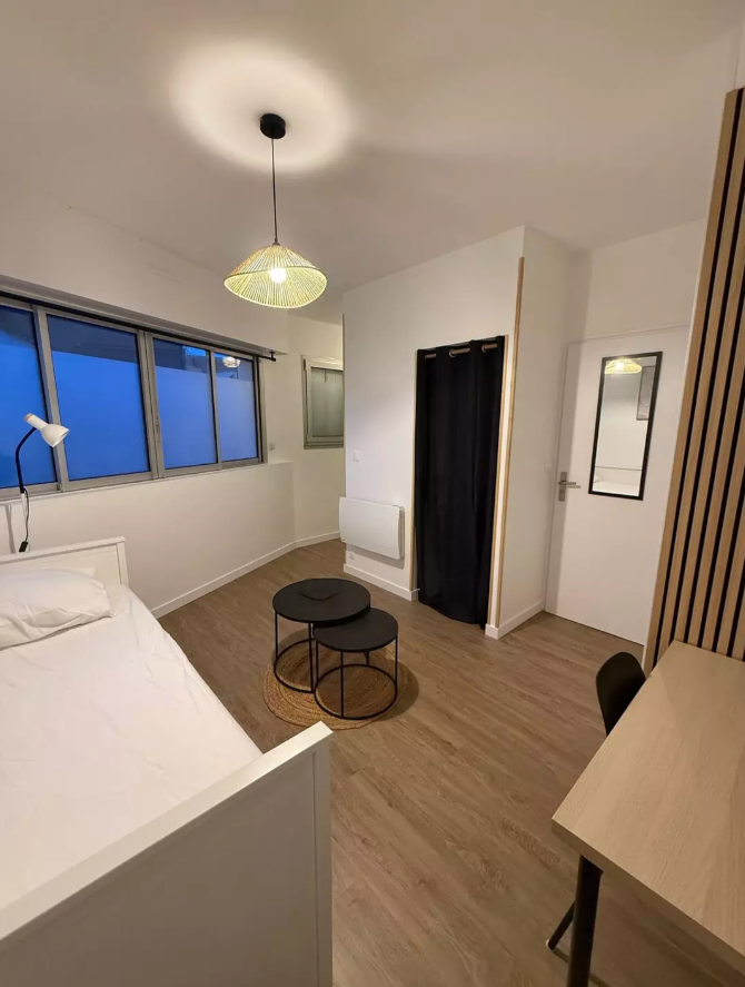 Appartement, meublé, 1 pièce, 18m² à Nantes (44000) — photo principale