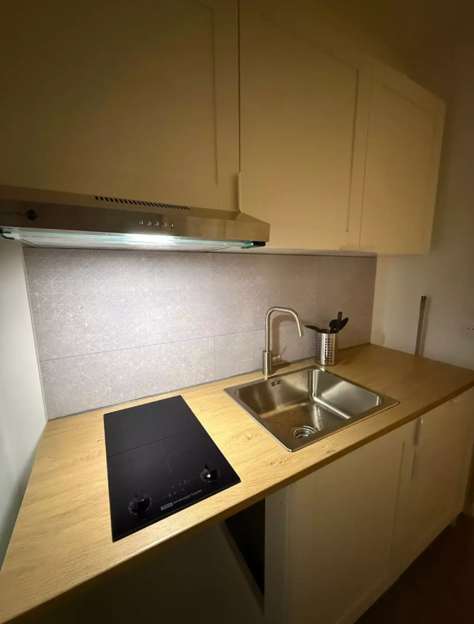 Appartement, meublé, 1 pièce, 18m² à Nantes (44000) — photo 2
