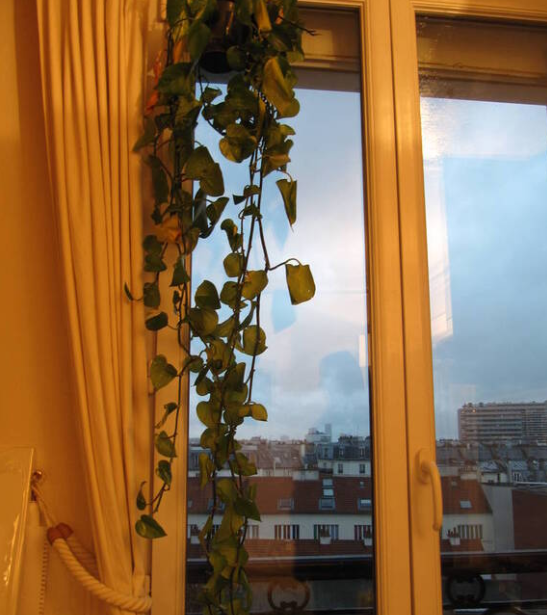 Chambre, meublé, 2 pièces, 40m² à Paris (75011) — photo 4