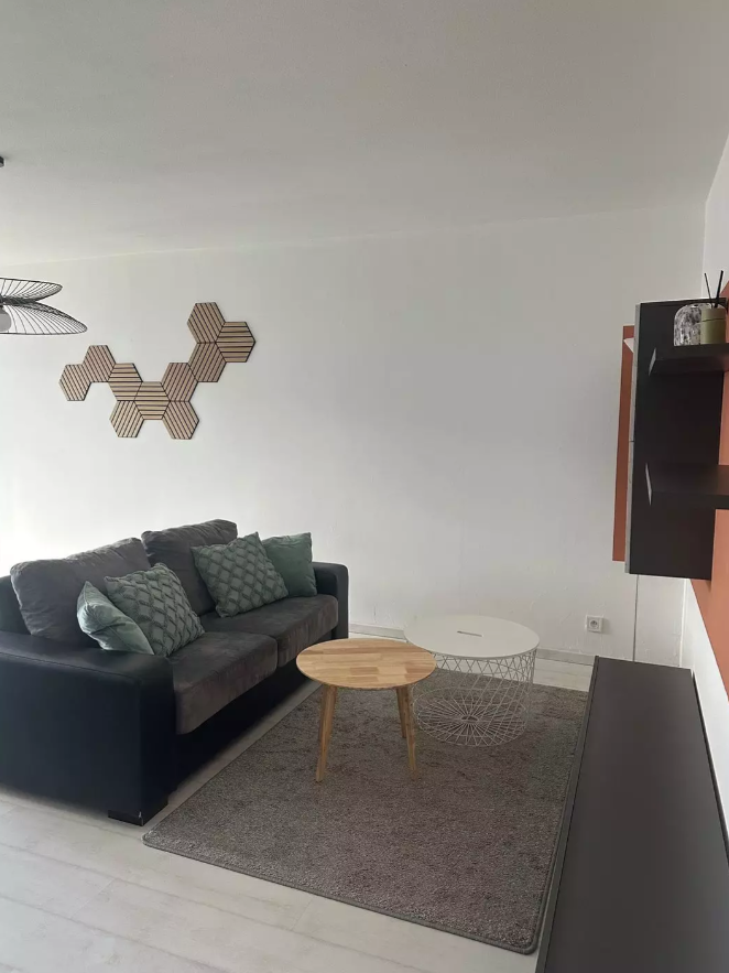 Appartement, meublé, 2 pièces, 47m² à Nancy (54000) — photo 4