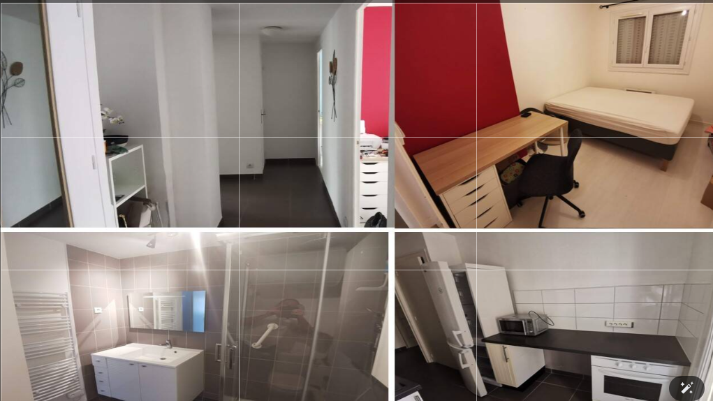 Appartement, meublé, 2 pièces, 53m² à Grenoble (38000) — photo principale