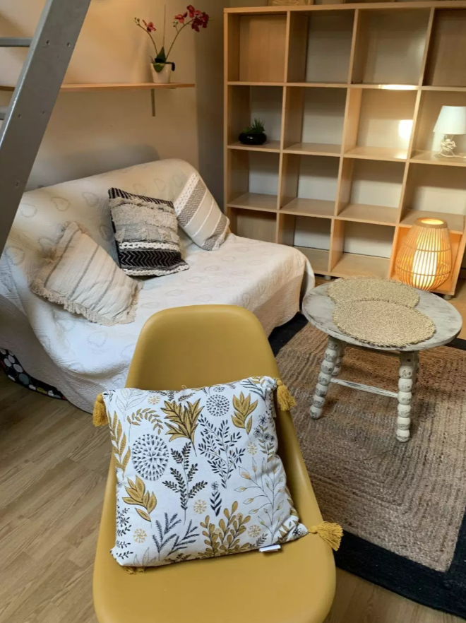 Appartement, meublé, 1 pièce, 19m² à Carcassonne (11000) — photo 4