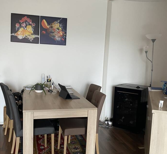 Appartement, meublé, 2 pièces, 55m² à Nancy (54000) — photo 5