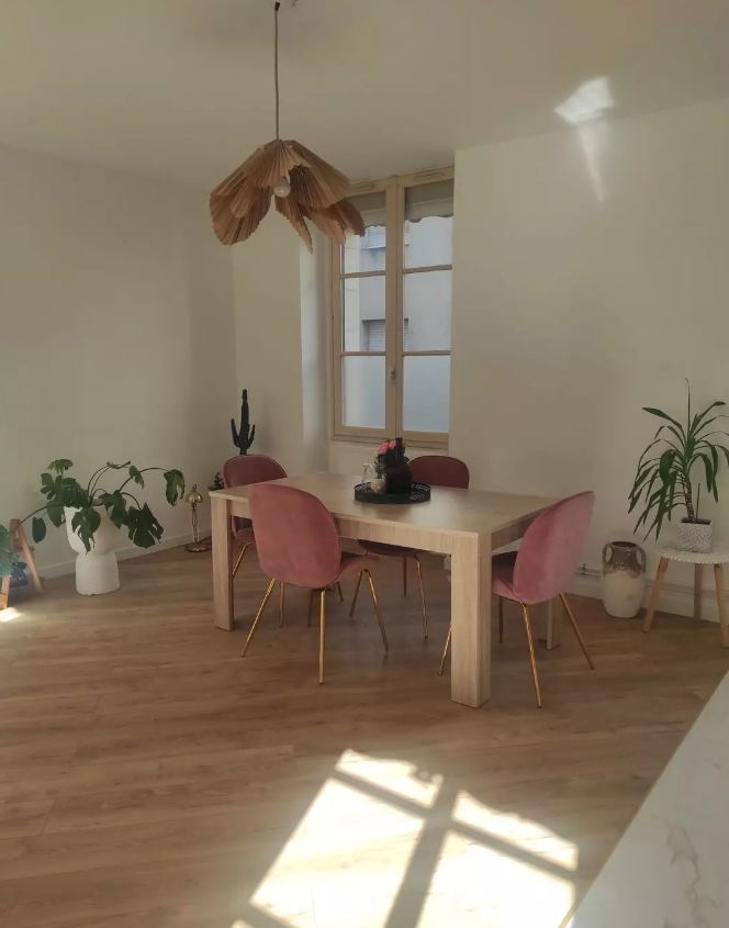 Appartement, meublé, 3 pièces, 62m² à Angers (49100) — photo principale