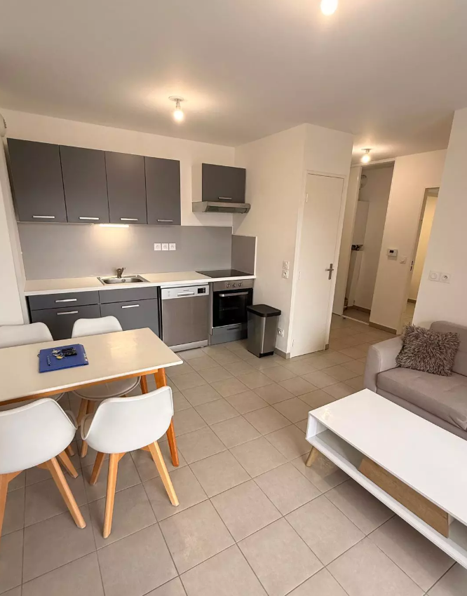 Appartement, meublé, 3 pièces, 54m² à Vienne (38200) — photo 3